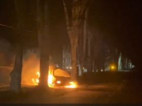В Горловке автомобиль врезался в дерево и загорелся