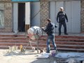 В школе № 50 Горловки, в которой в результате обстрела погибли учителя, активно ведутся ремонтные работы (фото)