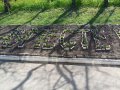 В Горловке высадили цветы в городских скверах и на площади Ленина (фото)