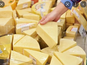 В России провели масштабную проверку качества сыра 