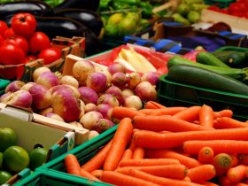 Власти Херсонской области готовы поставлять молодые овощи в ДНР