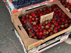 На рынках ДНР появились огурцы и клубника из Херсона (фото)
