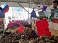 В какую цену сегодня продают овощи и ягоды из Херсона на рынках ДНР