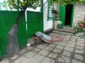 В результате обстрела Горловки погиб мирный житель, еще трое человек получили ранения