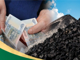 В ДНР расширен список категорий для получения компенсаций на покупку бытового угля