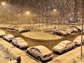 В Москве выпал первый снег (видео)