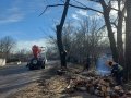В Горловке началась масштабная обрезка деревьев вдоль Углегорского шоссе  (фото)