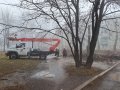 Коммунальные службы Горловки проводят санитарную обрезку деревьев по улице Шепелева (фото)