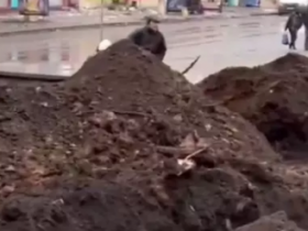 В самом центре Бахмута вырыли окопы на случай прорыва российский войск (видео)
