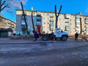Сотрудники КП «ПРОСТОР» продолжают выполнять санитарную обрезку деревьев в Горловке