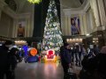 В Киеве установили елку, которая светится от вращения педалей на велотренажере (фото, видео)