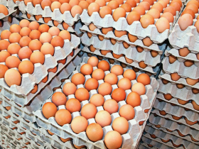 Накануне Нового года в Горловке вновь подорожали яйца, но снизились цены на курятину
