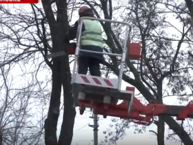 Коммунальные службы Горловки проводят кронирование деревьев на улице Гаевого (видео)