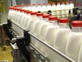 Производство молока в 2022 году в ДНР увеличилось в два раза по сравнению с прошлым годом
