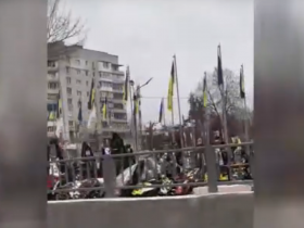 Огромное кладбище бойцов ВСУ стихийно выросло между многоэтажными домами в городском сквере Житомира (видео)