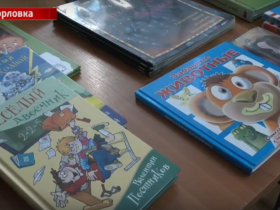 В Горловку привезли большую партию детских книг (видео)