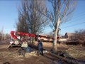 Коммунальные предприятия Горловки занимаются весенней обрезкой деревьев (фото)