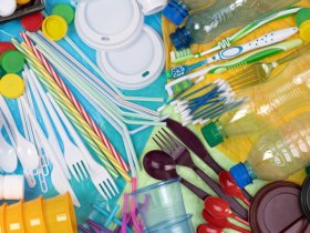 Пластиковая посуда, пакеты, ватные палочки и ещё 28 позиций пластика могут попасть под запрет на импорт в Россию