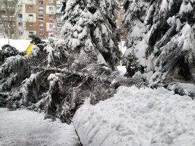 Из-за обильного снегопада в Горловке обрушились кровли многоэтажных домов,  повалены деревья