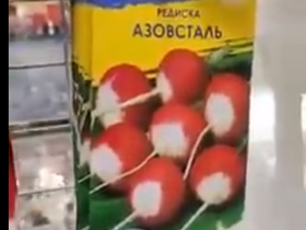 В Украине продают семена щавеля для посадки 