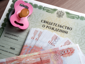 Как жителям ДНР получать ежемесячные выплаты на детей из средств материнского капитала (инфографика)