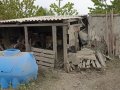 ВСУ обстреляли поселок Озеряновка, повреждена школа и жилые дома (фото)