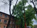 В Горловке проводится санитарная обрезка деревьев по улице Пионерская (фото)