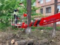 В Горловке проводится санитарная обрезка деревьев по улице Пионерская (фото)