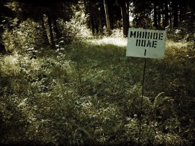 Половина лесов в ДНР уничтожены или заминированы — Лесохота
