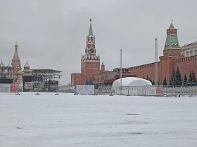 В Москве выпал первый снег (фото)