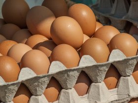 В Горловке продолжается рост цен на куриные яйца, но подешевел картофель