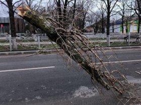 Синоптики ожидают уменьшение порывистости ветра в ДНР