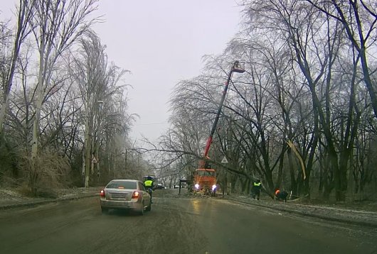 В Горловке обледеневшие деревья вдоль дорог падают на проезжую часть