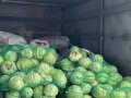 Для борьбы с высокими ценами на овощи, в Донецке организовывают "ярмарки с колес" (фото)