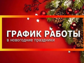 Как будут работать отделения МРЭО и МФЦ ДНР в период с 30 декабря по 9 января