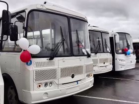 В ДНР доставили 81 автобус для обновления пассажирского транспорта в городах, Горловки в списке нет (видео)