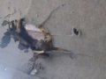 В результате сброса боеприпаса с БПЛА в Горловке поврежден автомобиль коммунальных служб (фото)