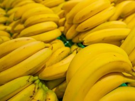 В России бананы из Эквадора теперь заменят индийские бананы