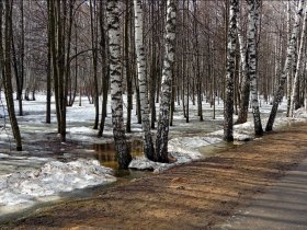 Циклон «Ольга», который несет в европейскую часть России морозы и снегопады, не затронет ДНР
