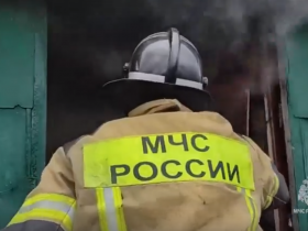 На пожаре в Горловке погибла женщина (видео)