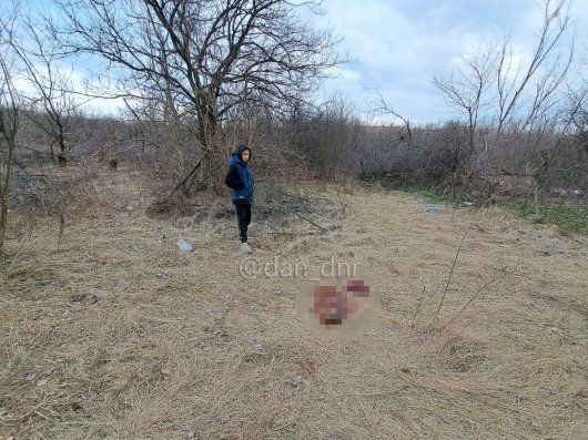 В результате подрыва на мине "Лепесток" в Горловке погиб 15-летний подросток