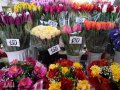 Сколько стоят цветы накануне 8 марта в Горловке и других городах ДНР