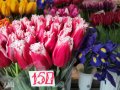 Сколько стоят цветы накануне 8 марта в Горловке и других городах ДНР