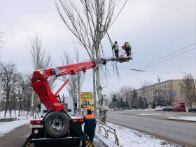 На центральных улицах Горловки проводится весенняя обрезка деревьев (фото)