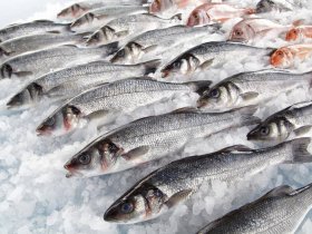 В ДНР запланировано снижение цен на рыбу за счет прямых поставок из других городов России