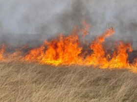 В ДНР объявили о наивысшем классе пожарной опасности