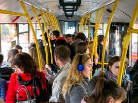 В правительстве ДНР сравнили стоимость проезда в общественном транспорте в ДНР и в Ростовской области
