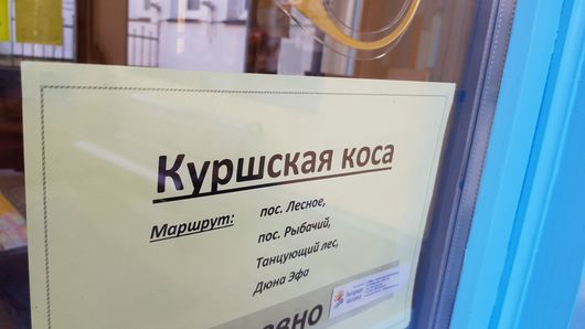 Российский оператор внедряет современную интернет-связь в округах Калининградской области